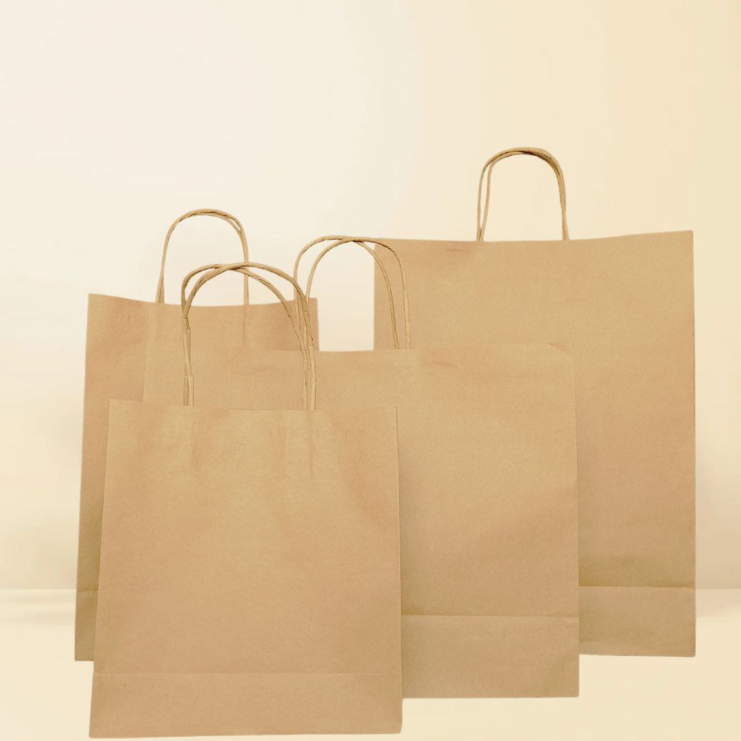 Large Kaft paperbag (Paper handle)