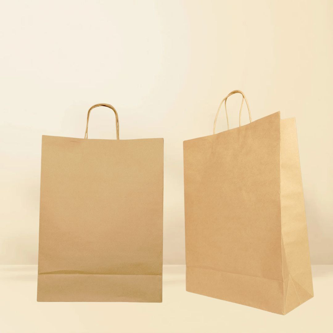 Large Kraft paperbag (Paper handle – 50 Pcs