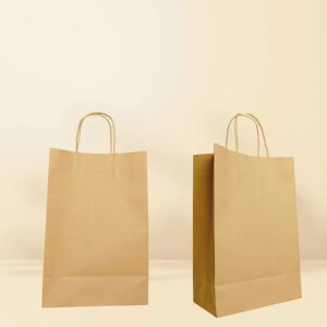 Medium Kraft paperbag (Paper handle - 50 Pcs )