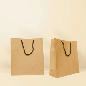 Small Kraft paperbag (Rope handle - 50 Pcs )